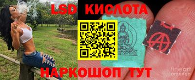 прущие грибы Обнинск