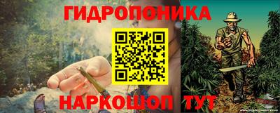 прущие грибы Обнинск