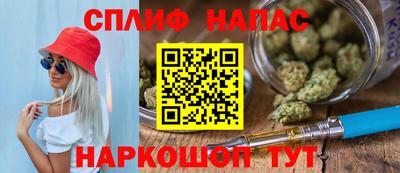 прущие грибы Обнинск