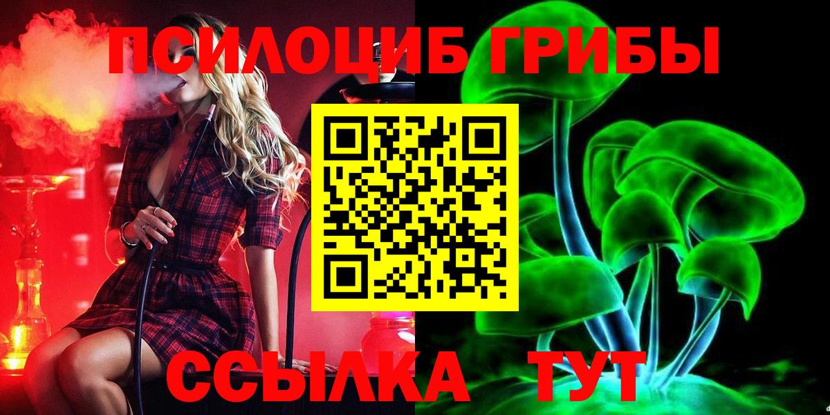 Острогожск  Псилоцибиновые грибы GOLDEN TEACHER  дарнет шоп  Вход с VPN  Псилоцибиновые грибы GOLDEN TEACHER 